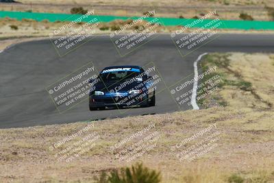 media/Apr-06-2025-Extreme Speed (Sun) [[ad1499d5ff]]/Green group/Turn 1/